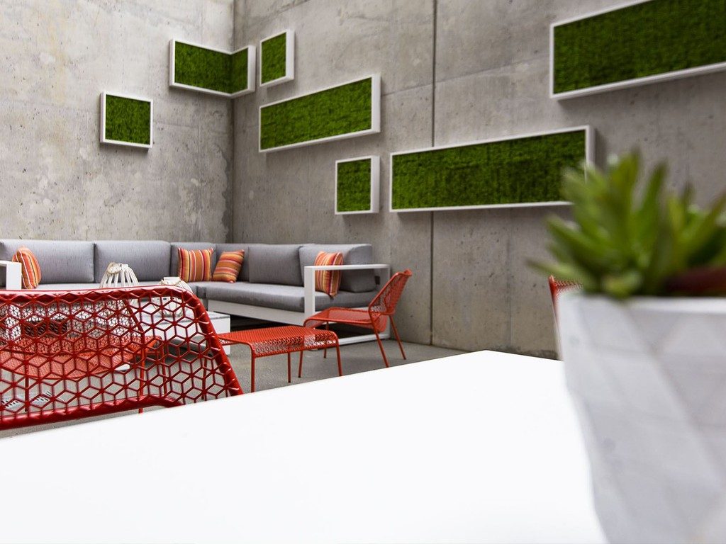 Moss wall art and Outdoor Furniture, project by colorlab.